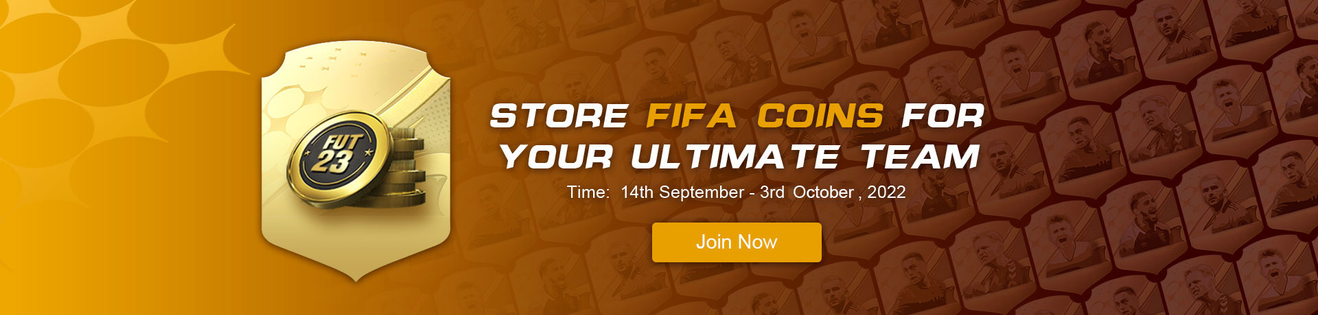 STORE FIFA COINS FOR YOUR ULTIMATE TEAM